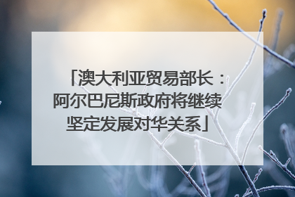 澳大利亚贸易部长：阿尔巴尼斯政府将继续坚定发展对华关系
