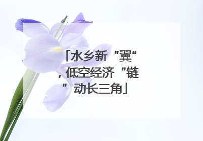 水乡新“翼”，低空经济“链”动长三角
