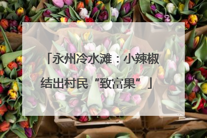 永州冷水滩：小辣椒结出村民“致富果”
