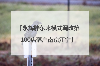 永辉胖东来模式调改第100店落户南京江宁