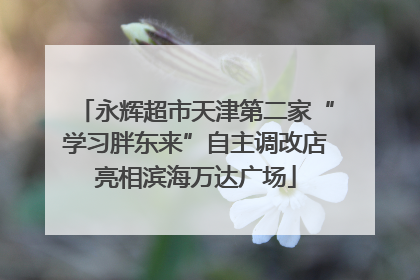 永辉超市天津第二家“学习胖东来”自主调改店亮相滨海万达广场