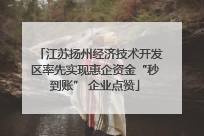 江苏扬州经济技术开发区率先实现惠企资金“秒到账” 企业点赞