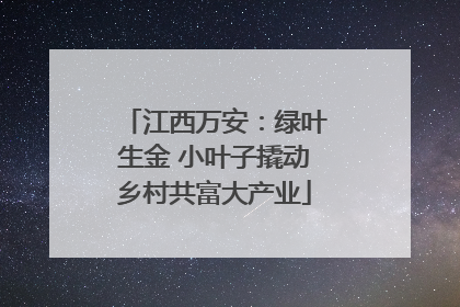 江西万安：绿叶生金 小叶子撬动乡村共富大产业