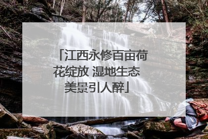 江西永修百亩荷花绽放 湿地生态美景引人醉