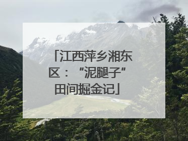 江西萍乡湘东区：“泥腿子”田间掘金记