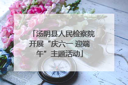 汤阴县人民检察院开展“庆六一 迎端午”主题活动