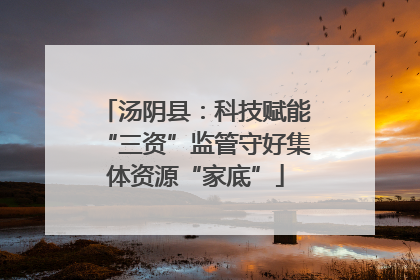 汤阴县：科技赋能“三资”监管守好集体资源“家底”