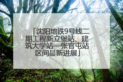 沈阳地铁9号线二期工程新立堡站、建筑大学站—张官屯站区间最新进展