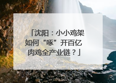 沈阳：小小鸡架如何“啄”开百亿肉鸡全产业链？