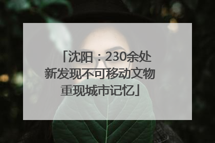 沈阳：230余处新发现不可移动文物重现城市记忆
