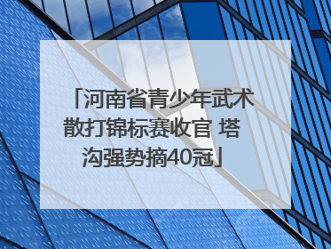 河南省青少年武术散打锦标赛收官 塔沟强势摘40冠