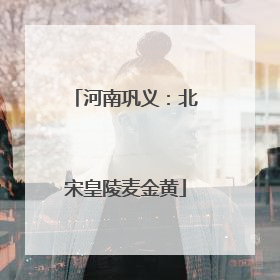 河南巩义：北宋皇陵麦金黄