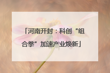 河南开封：科创“组合拳”加速产业焕新