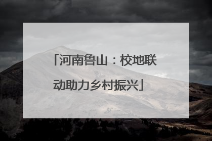 河南鲁山：校地联动助力乡村振兴