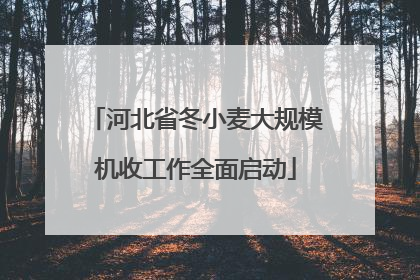 河北省冬小麦大规模机收工作全面启动