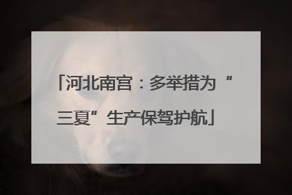 河北南宫：多举措为“三夏”生产保驾护航