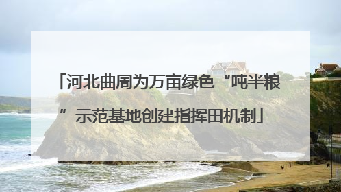 河北曲周为万亩绿色“吨半粮”示范基地创建指挥田机制