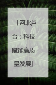 河北芦台：科技赋能高质量发展