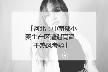 河北：中南部小麦生产区遭遇高温干热风考验