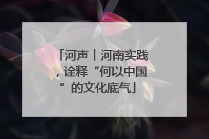 河声丨河南实践，诠释“何以中国”的文化底气