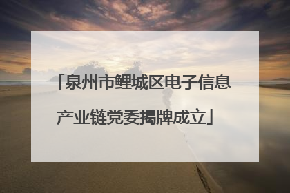 泉州市鲤城区电子信息产业链党委揭牌成立
