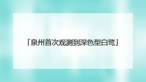 泉州首次观测到深色型白鹭