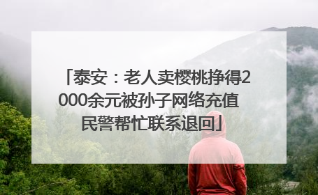 泰安：老人卖樱桃挣得2000余元被孙子网络充值 民警帮忙联系退回