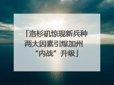 洛杉矶惊现新兵种 两大因素引爆加州“内战”升级