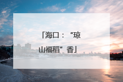 海口：“琼山福稻”香