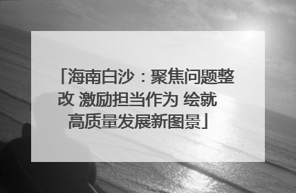 海南白沙：聚焦问题整改 激励担当作为 绘就高质量发展新图景