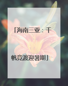 海南三亚：千帆竞渡迎暑期
