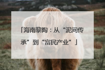 海南黎陶：从“泥间传承”到“富民产业”