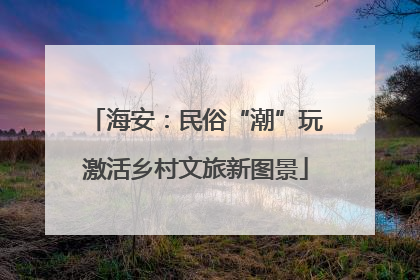海安：民俗“潮”玩激活乡村文旅新图景