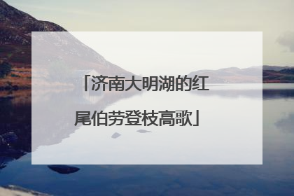 济南大明湖的红尾伯劳登枝高歌