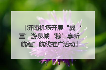 济南机场开展“翼‘童’游泉城‘粽’享新航程”航线推广活动