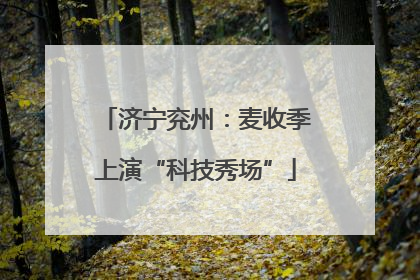 济宁兖州：麦收季上演“科技秀场”