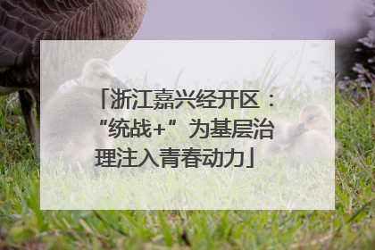 浙江嘉兴经开区：“统战+”为基层治理注入青春动力