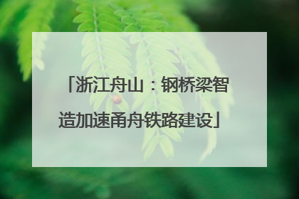 浙江舟山：钢桥梁智造加速甬舟铁路建设