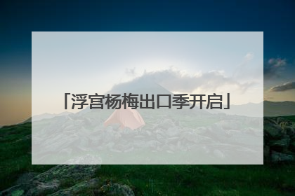 浮宫杨梅出口季开启