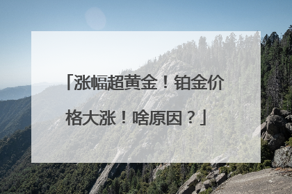 涨幅超黄金！铂金价格大涨！啥原因？