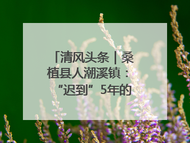 清风头条｜桑植县人潮溪镇：“迟到”5年的生态林补偿金