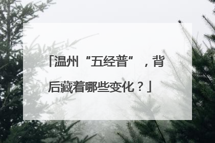 温州“五经普”，背后藏着哪些变化？