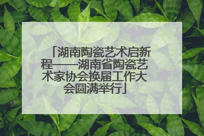 湖南陶瓷艺术启新程——湖南省陶瓷艺术家协会换届工作大会圆满举行