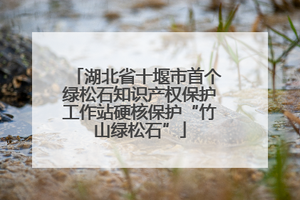 湖北省十堰市首个绿松石知识产权保护工作站硬核保护“竹山绿松石”