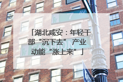 湖北咸安：年轻干部“沉下去” 产业动能“涨上来”