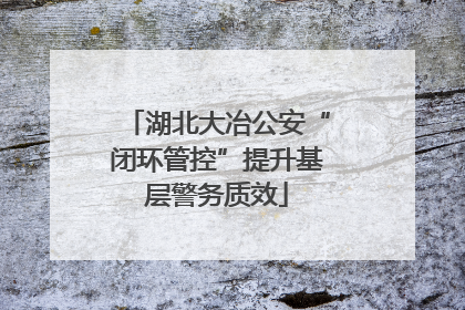 湖北大冶公安“闭环管控”提升基层警务质效