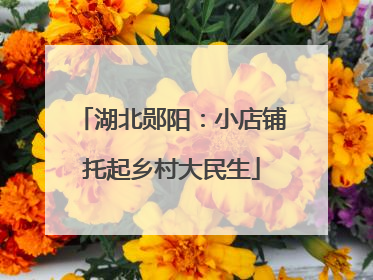 湖北郧阳：小店铺托起乡村大民生