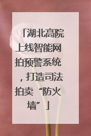 湖北高院上线智能网拍预警系统，打造司法拍卖“防火墙”