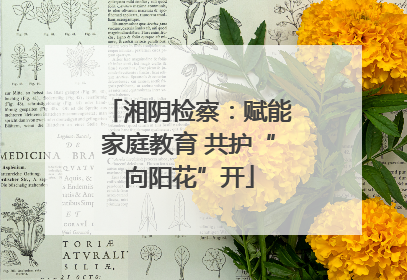 湘阴检察：赋能家庭教育 共护“向阳花”开