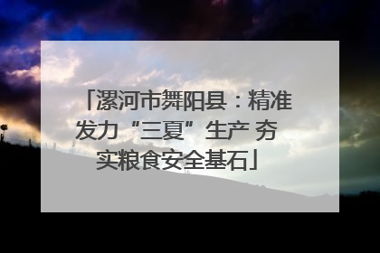 漯河市舞阳县：精准发力“三夏”生产 夯实粮食安全基石